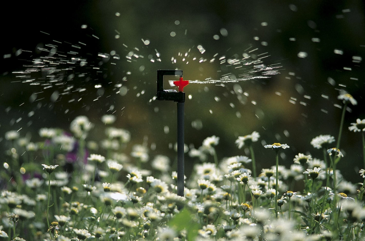 Gardena Système D'arrosage 01369-20 1369-20 Micro Rotorspr.360 3 Gardena Système D'arrosage 01369-20 1369-20 Micro Rotorspr.360