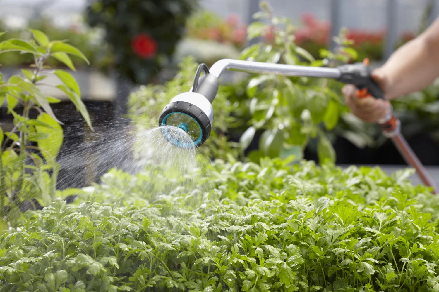 Gardena Pulvérisateur/Lance D'arrosage/Brosse Etc. 18336-20 Pulvérisateur + Extension Premium Réglable 4 Gardena Pulvérisateur/Lance D'arrosage/Brosse Etc. 18336-20 Pulvérisateur + Extension Premium Réglable – Image 2